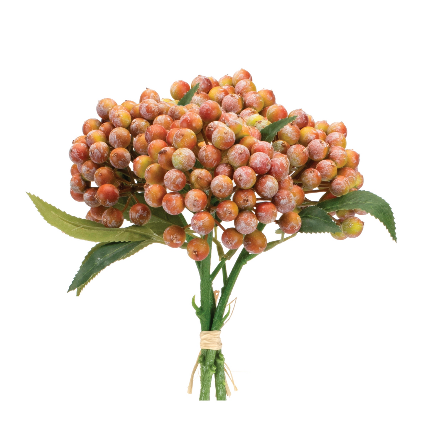 Orange Berry Bundle (Set of 2) -Ship Only