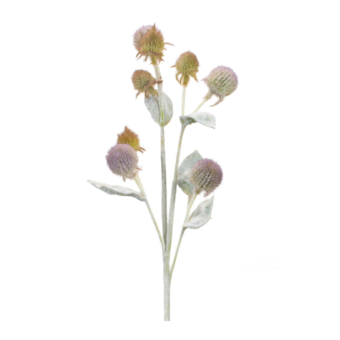 Thistle Foliage Spray (Set of 6) -Ship Only