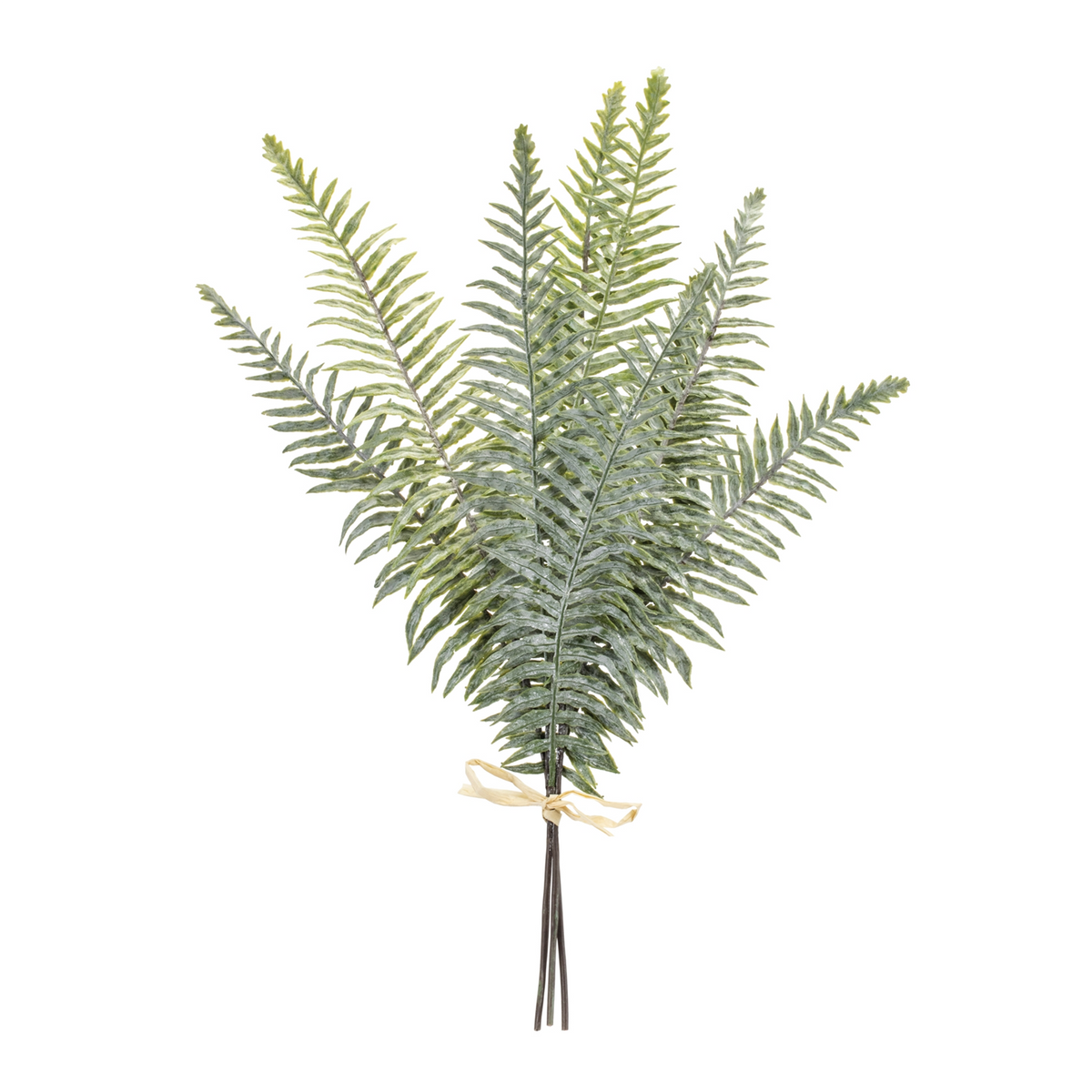 Fern Foliage Bundle (Set of 2) -Ship Only