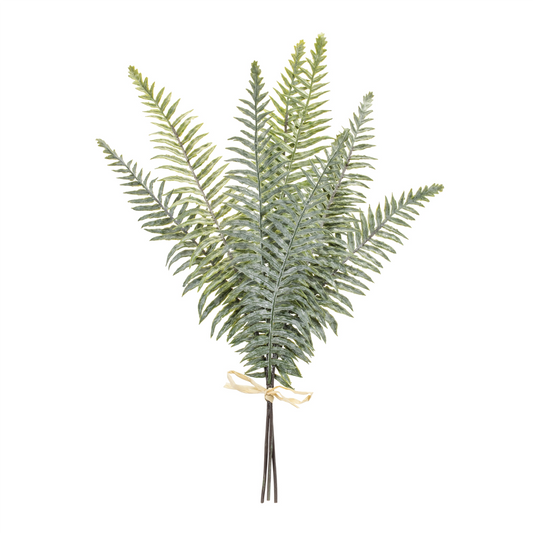 Fern Foliage Bundle (Set of 2) -Ship Only