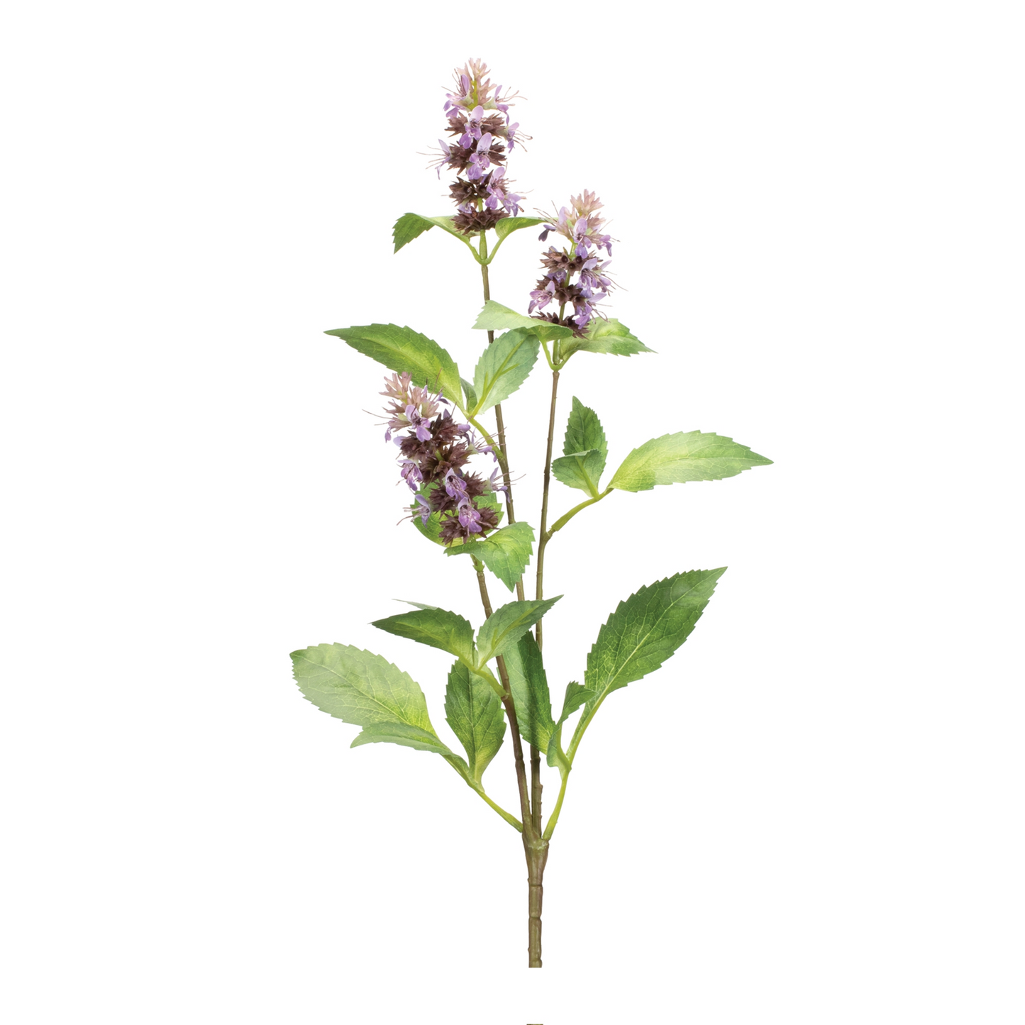 Buddleia Floral Stem (Set of 6) -Ship Only