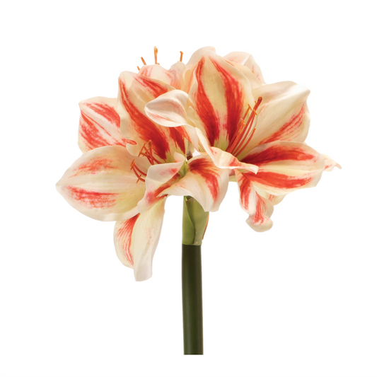Amaryllis (Set of 6) 17.5”H Polyester -Ship Only