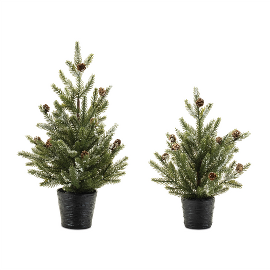 Potted Mini Pine Tree (Set of 2) 15"H, 20"H Plastic -Ship Only