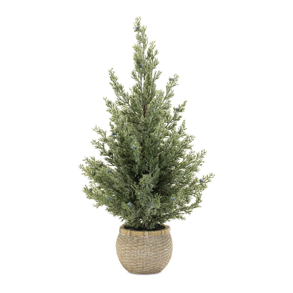 Potted Mini Pine Tree (Set of 2) -Ship Only