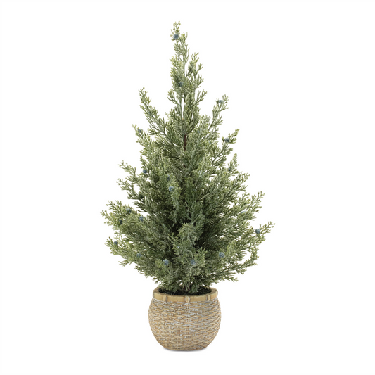 Potted Mini Pine Tree (Set of 2) -Ship Only