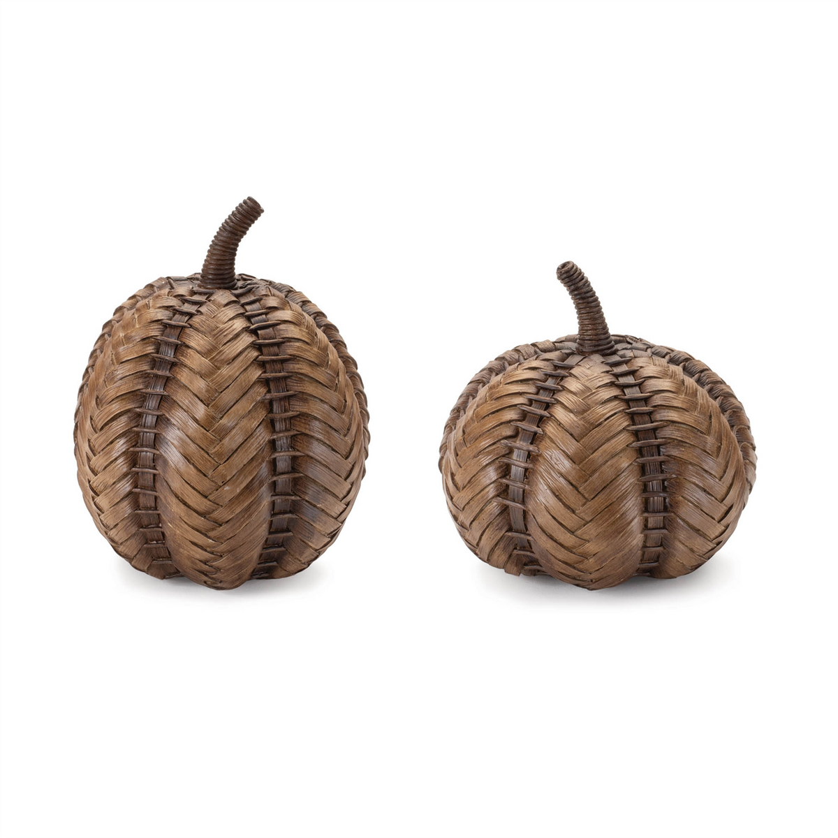 Rustic Pumpkin (Set of 2) -Ship Only