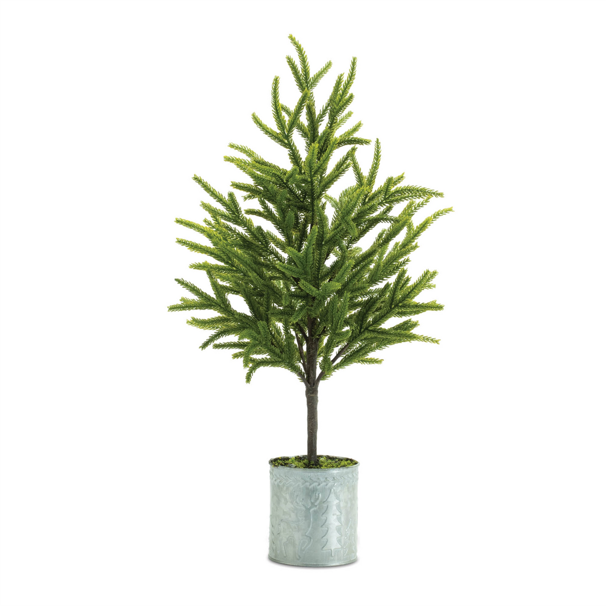 Potted Mini Pine Tree (Set of 2) -Ship Only