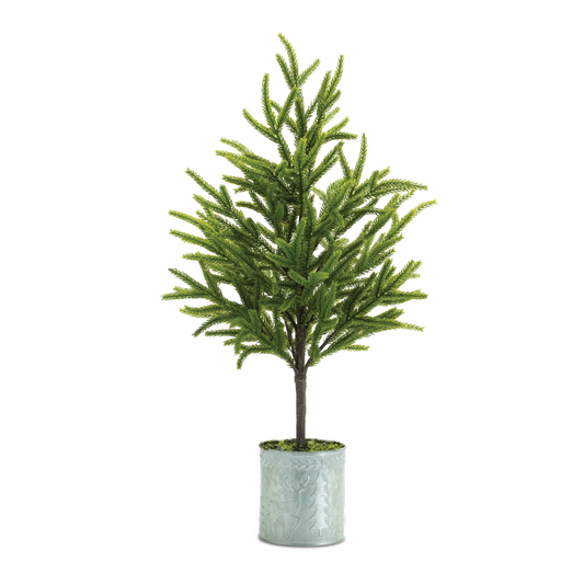 Potted Mini Pine Tree (Set of 2) -Ship Only