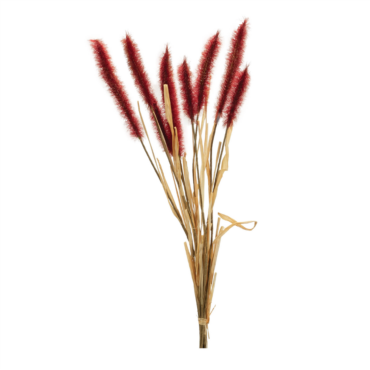 Fall Foxtail Grass Bundle (Set of 6) -Ship Only
