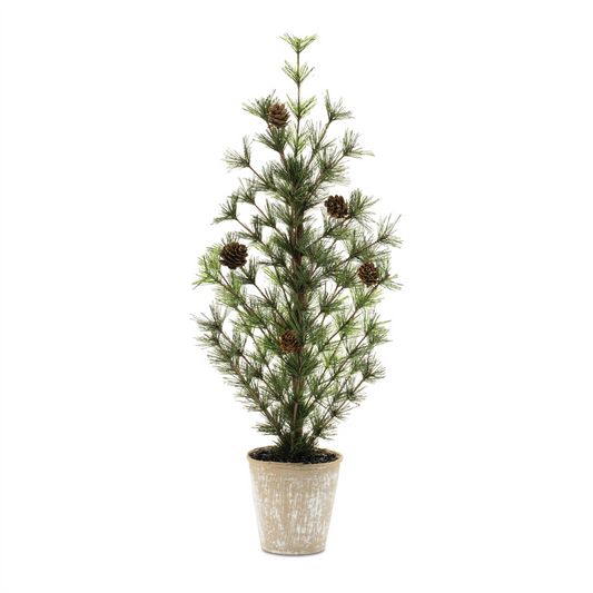 Potted Mini Pine Tree 24"H -Ship Only