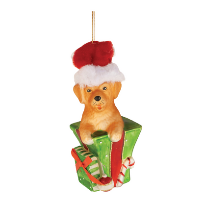 Puppy in Package Ornament (Set of 6)