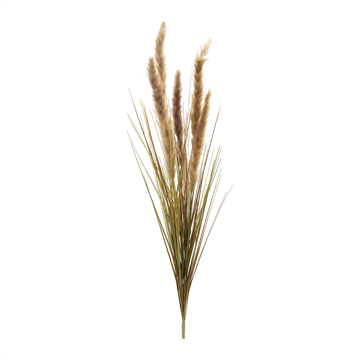 Foxtail Grass Bush (Set of 6) -Ship Only