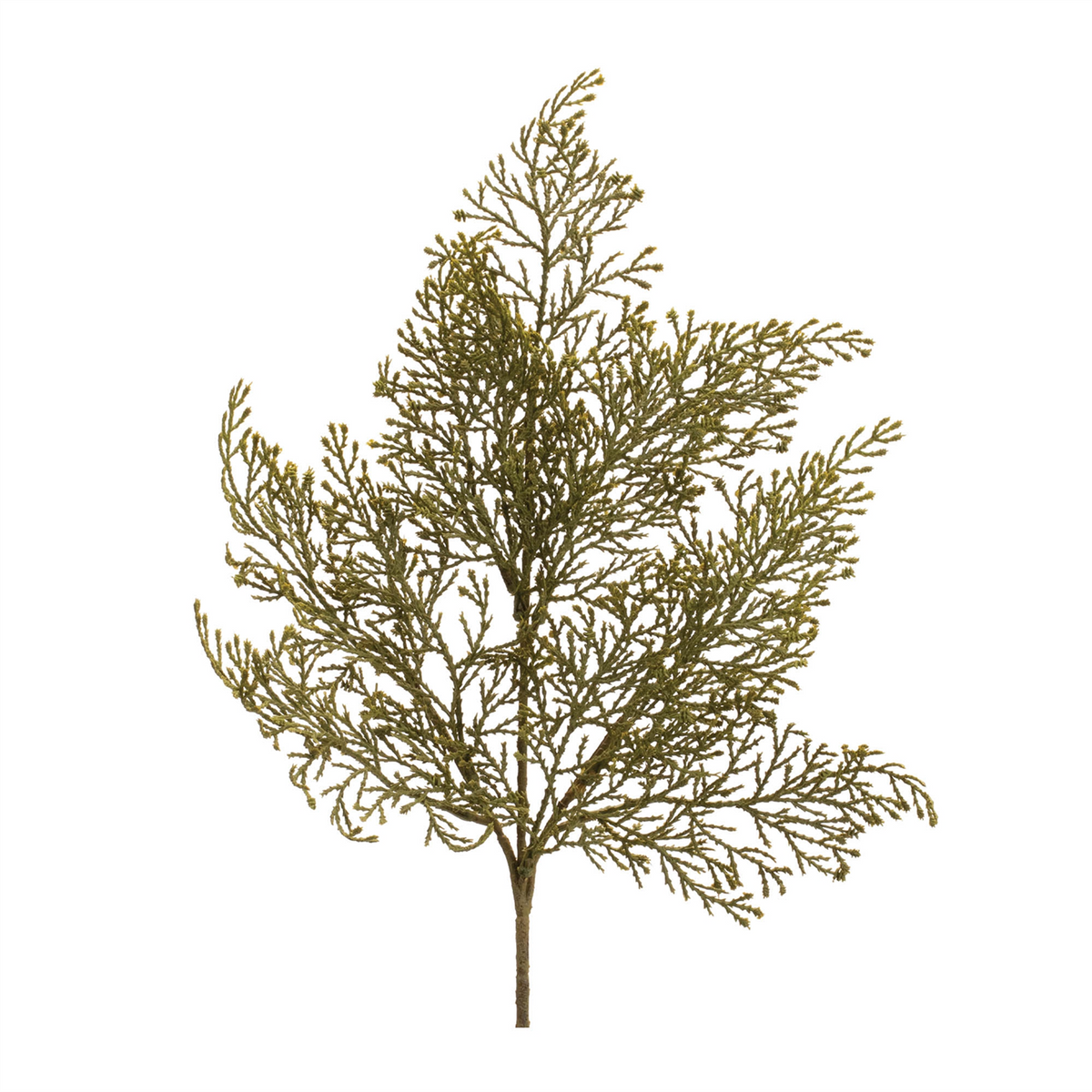Cedar Spray (Set of 6)