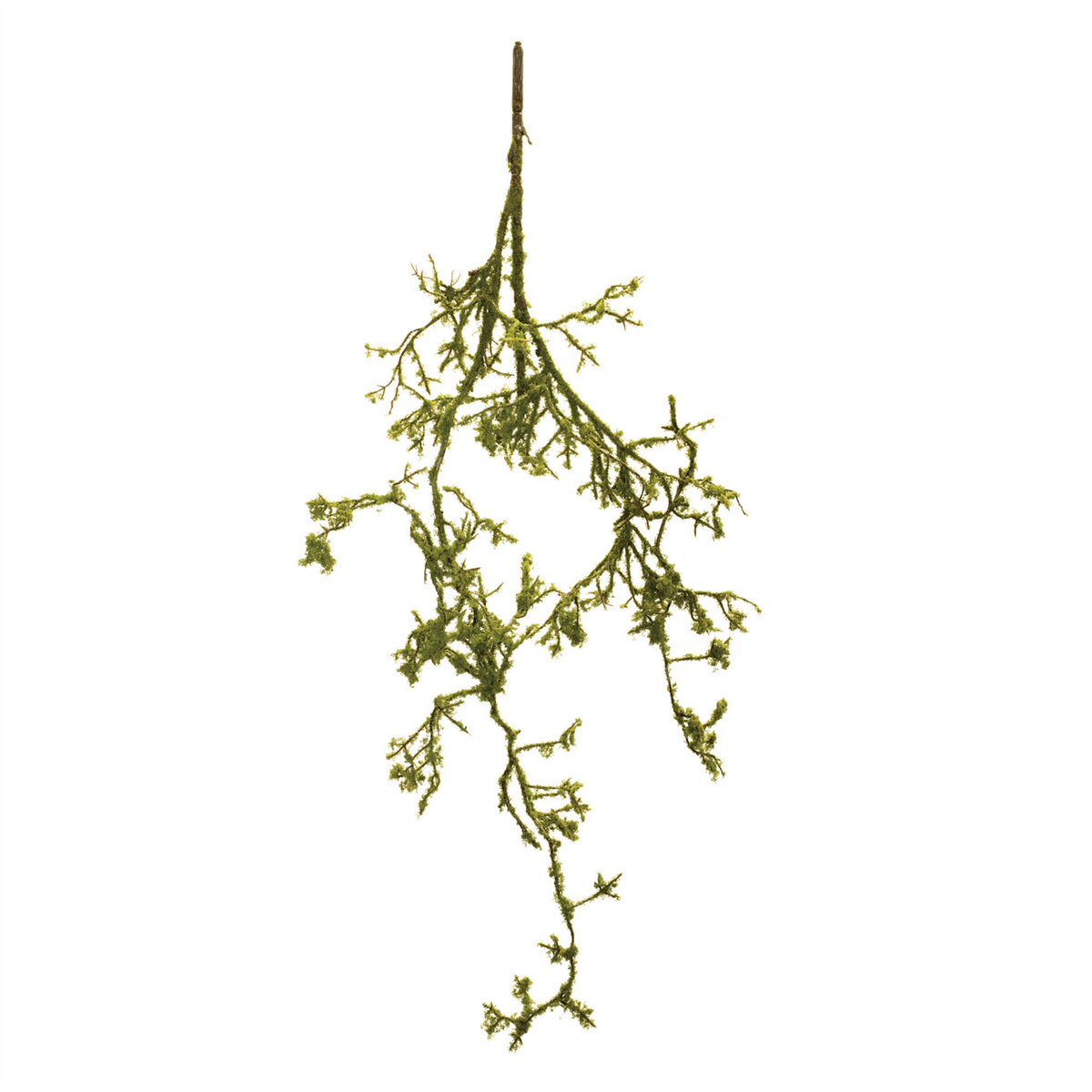 Mossy Twig Branch Vine (Set of 6) -Ship Only