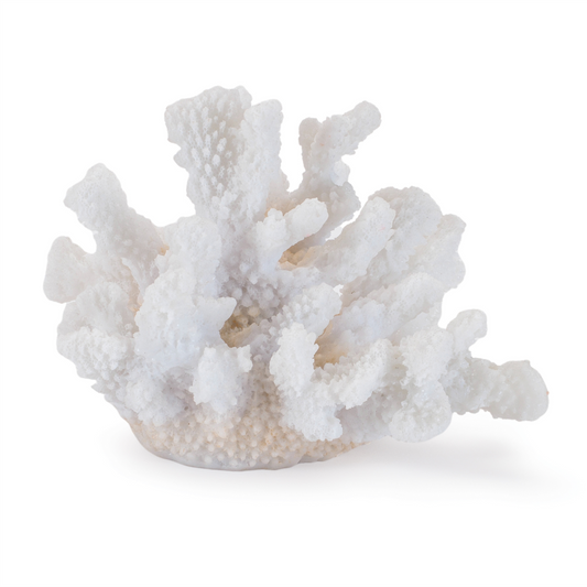 Set of 4 White Resin Coral Decorative Sculptures -Ship Only