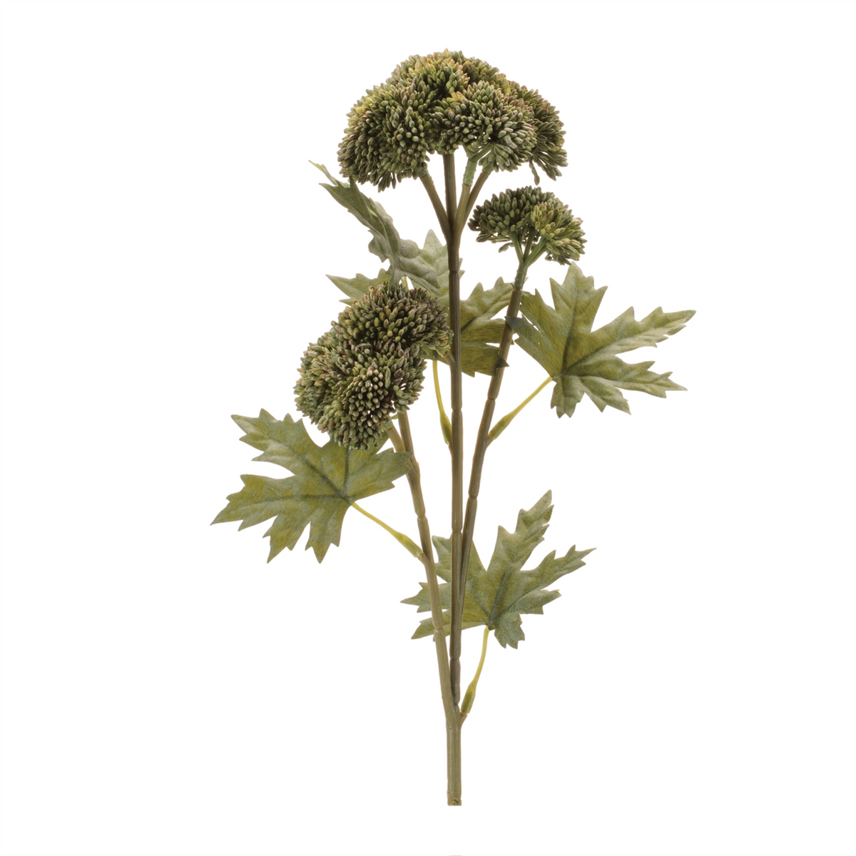 Sedum Succulent Spray (Set of 6) -Ship Only