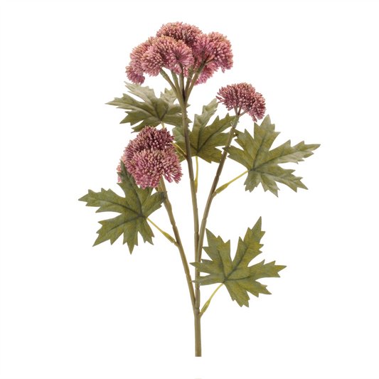 Sedum Succulent Spray (Set of 6) -Ship Only