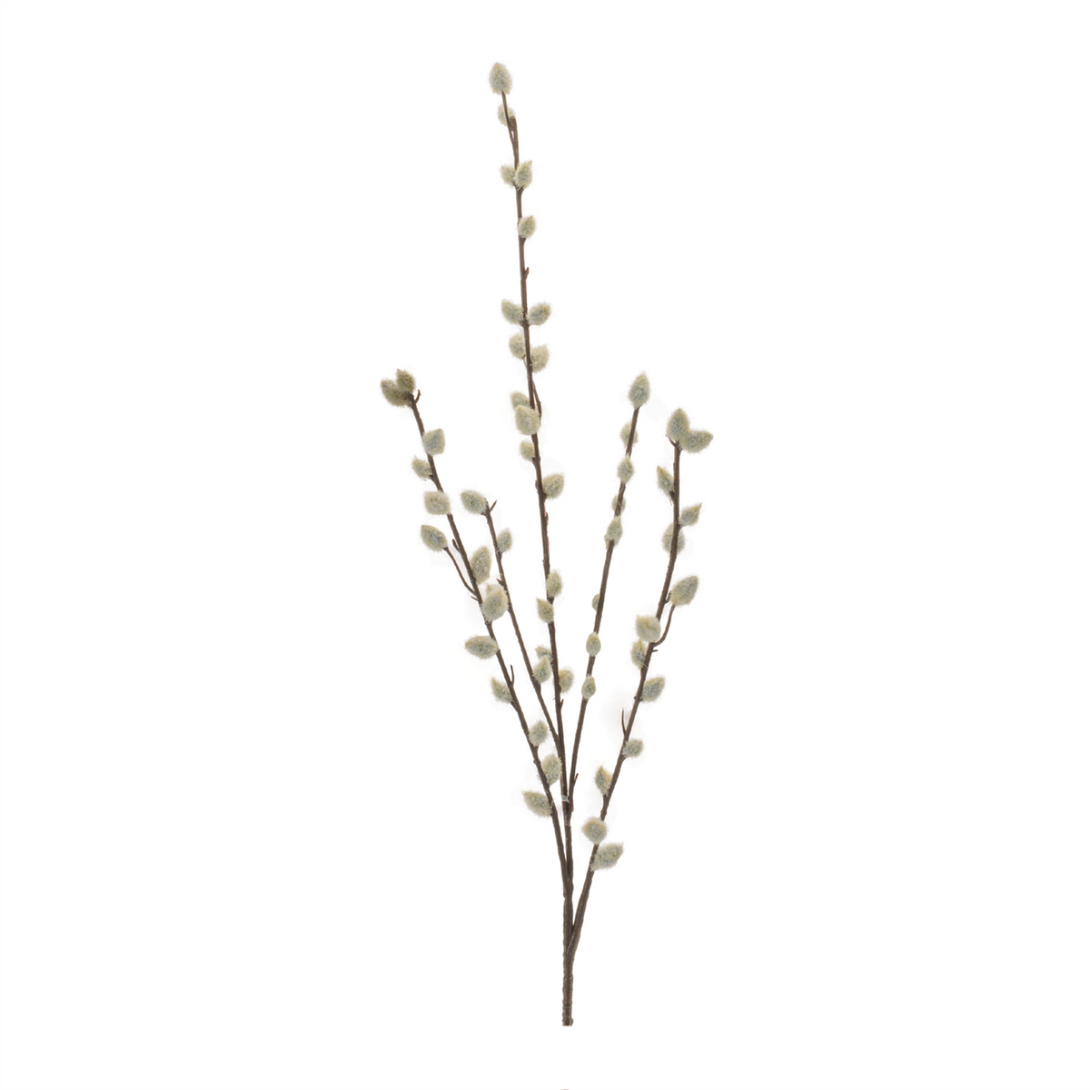 Pussy Willow Twig Spray (Set of 6) -Ship Only