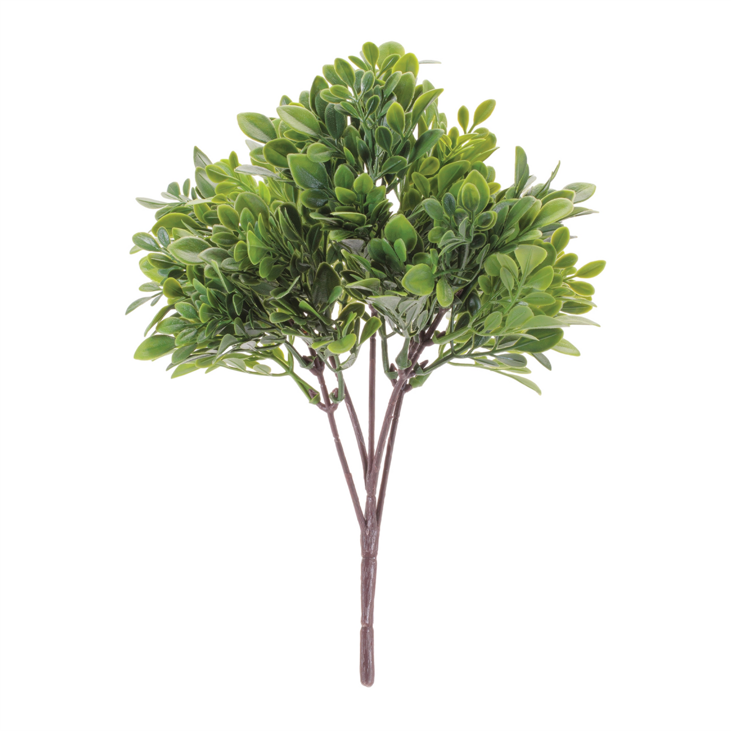 Boxwood Foliage Bush (Set of 6)