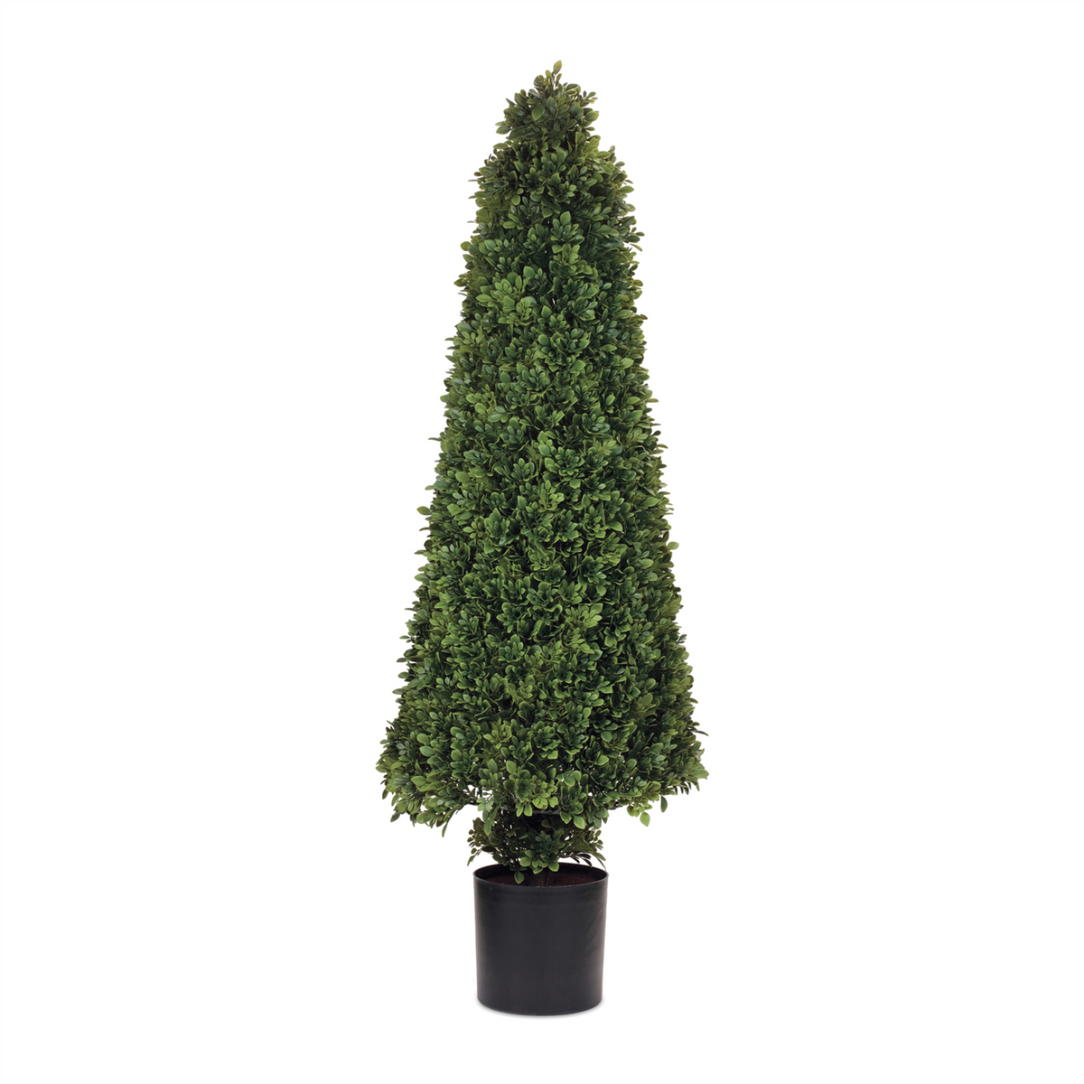 Potted Boxwood Cone Topiary 51"H