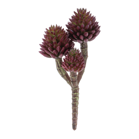 Succulent Plant Pick (Set of 6) -Ship Only