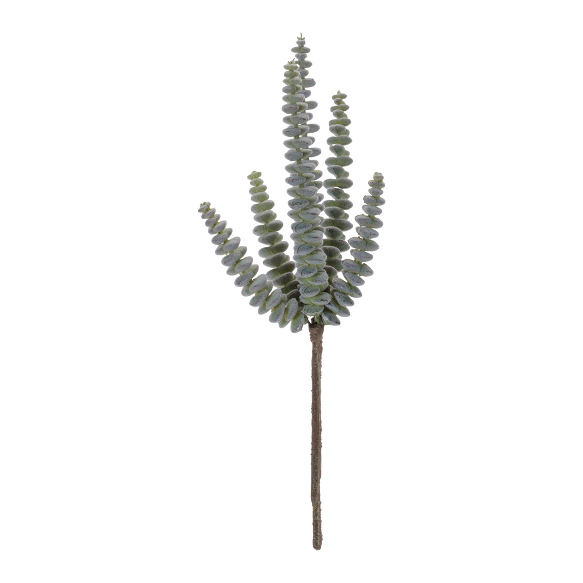 Succulent Plant Pick (Set of 6) -Ship Only