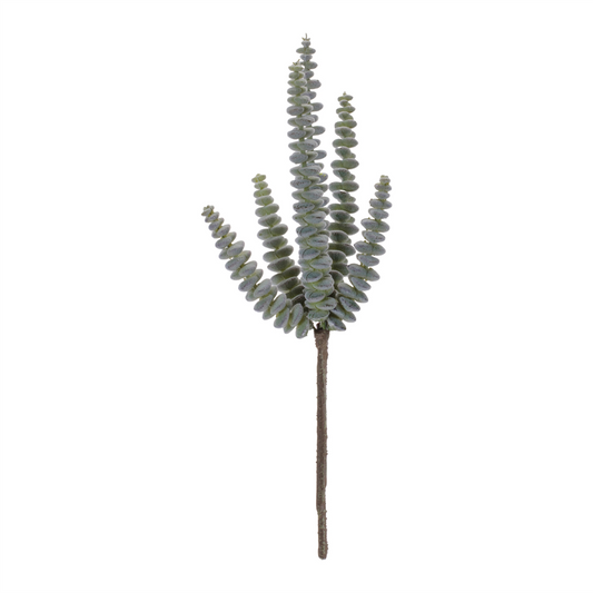Succulent Plant Pick (Set of 6) -Ship Only