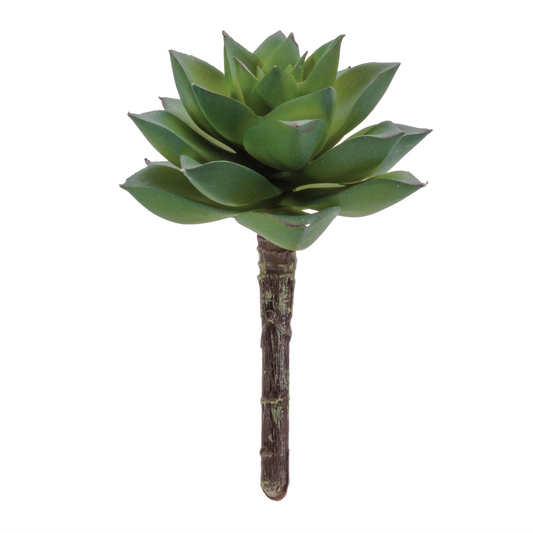 Succulent Plant Pick (Set of 12) -Ship Only