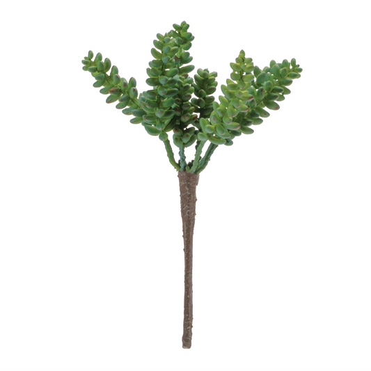 Succulent (Set of 6) 8”H Plastic -Ship Only