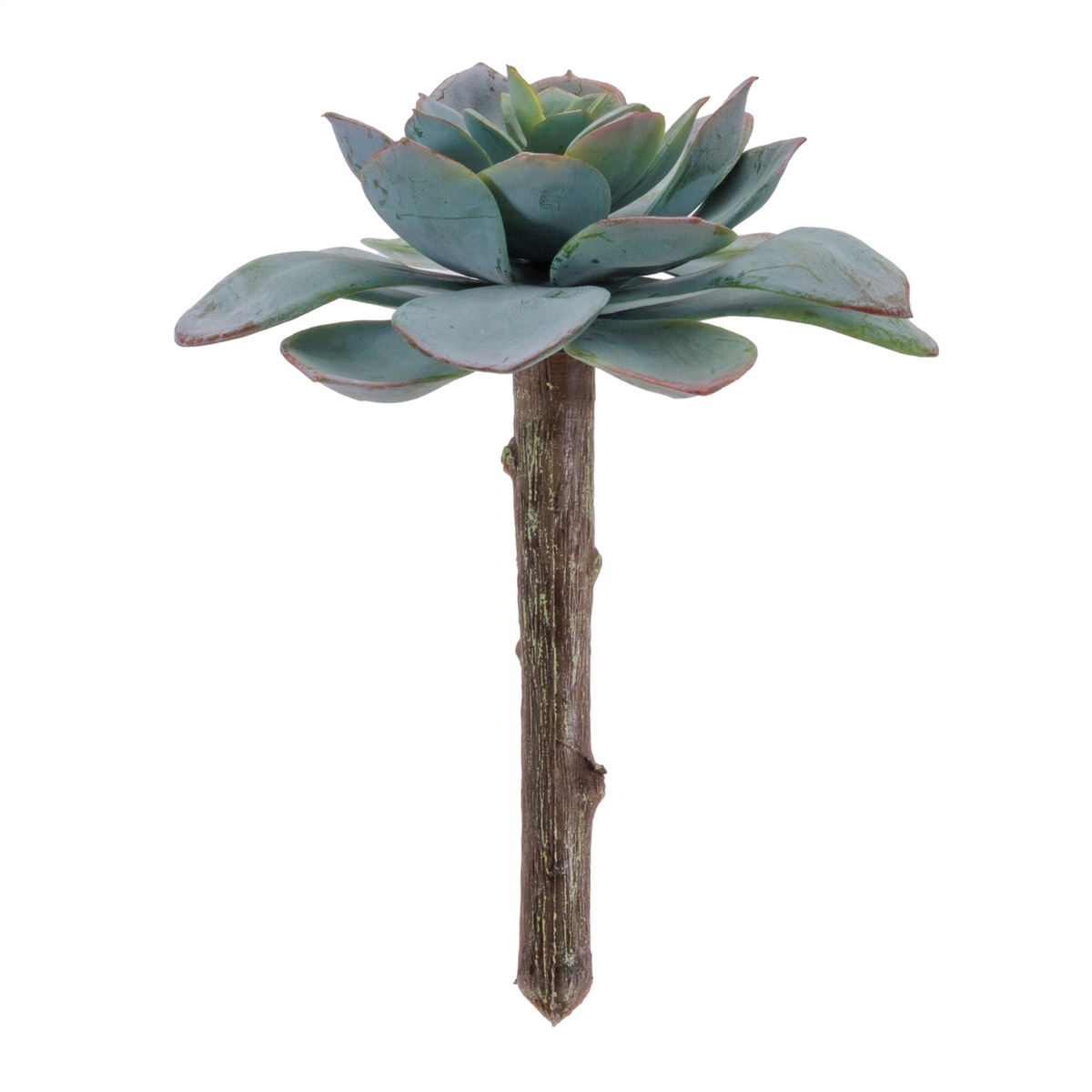 Succulent (Set of 12) 5”H Plastic -Ship Only