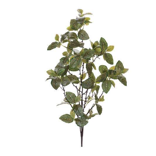 Fittonia Leaf Spray (Set of 4) 31”H Polyester -Ship Only