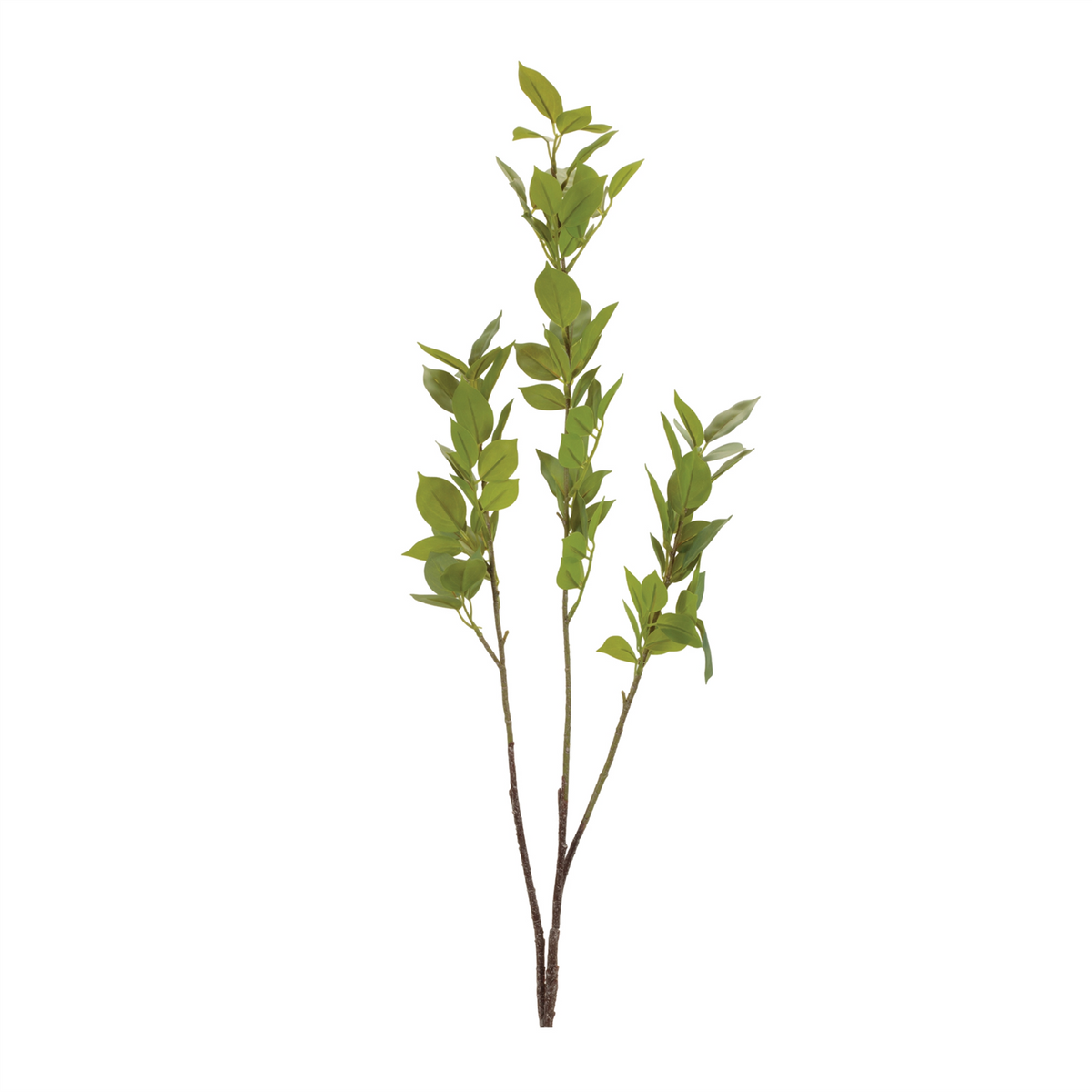 Leaf Foliage Branch (Set of 6)