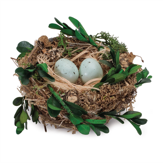 Twig Bird Nest with Eggs and Boxwood Foliage (Set of 12) -Ship Only