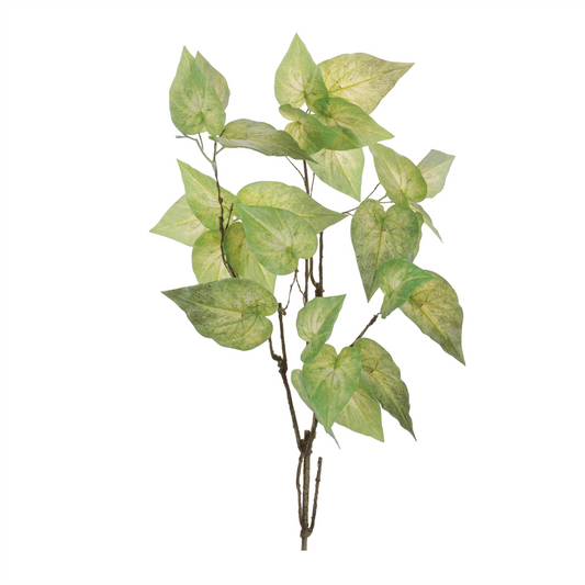 Anthurium Leaf Branch (Set of 4) -Ship Only