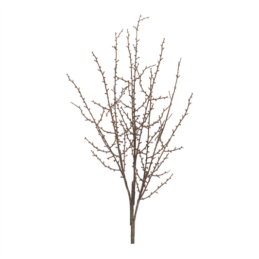 Birch Twig Branch (Set of 6) -Ship Only