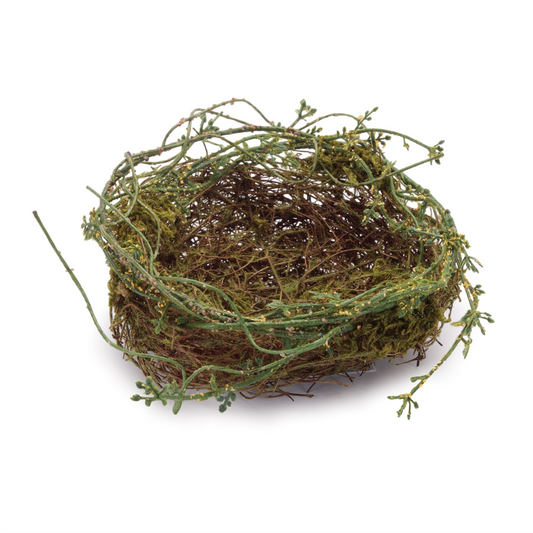 Nest (Set of 6) 7.5"D x 3.5"H Twig/Plastic -Ship Only