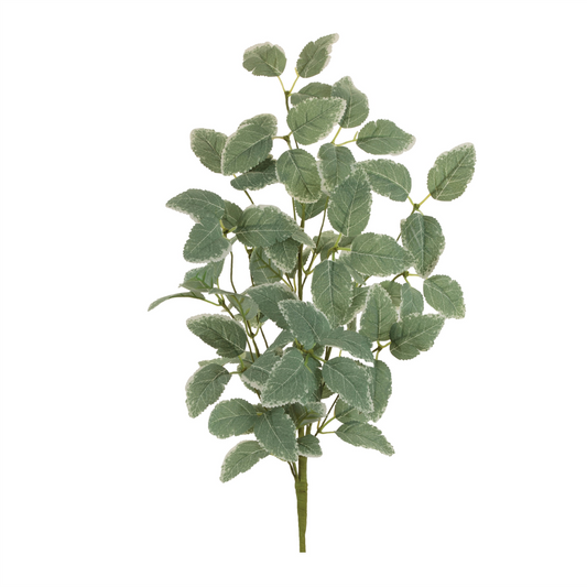 Variegated Foliage Spray (Set of 2) -Ship Only