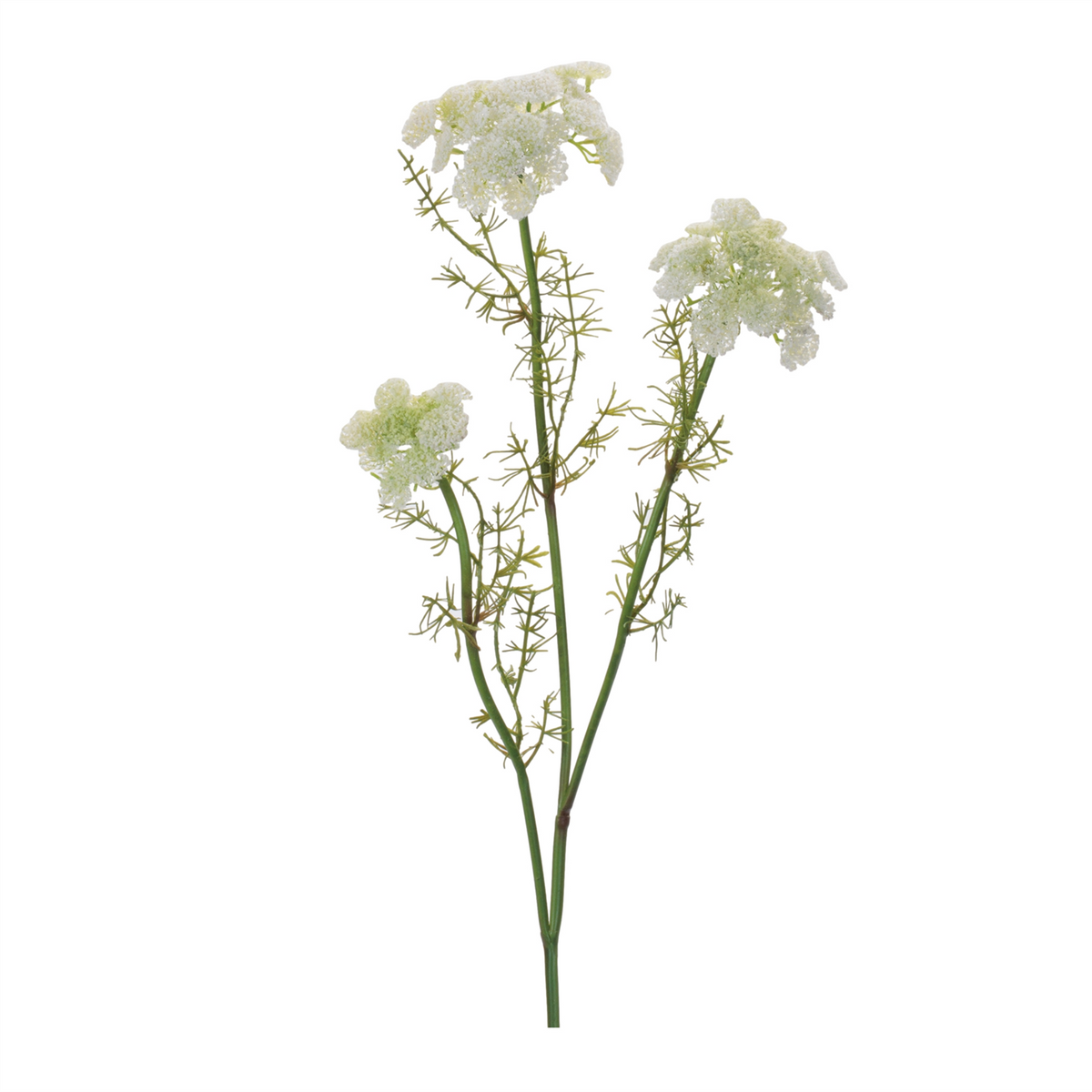 Queen Anne's Lace Floral Spray (Set of 6)