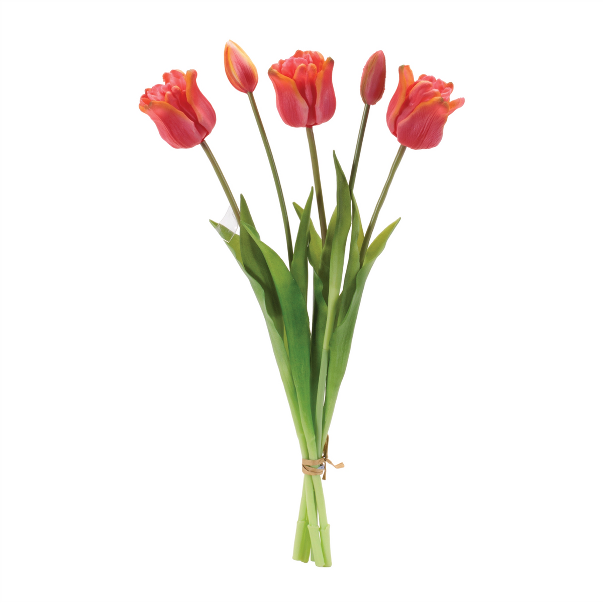 Tulip Bundle (Set of 2) 18.5”H Plastic -Ship Only