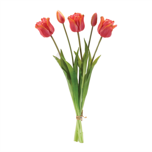 Tulip Bundle (Set of 2) 18.5”H Plastic -Ship Only