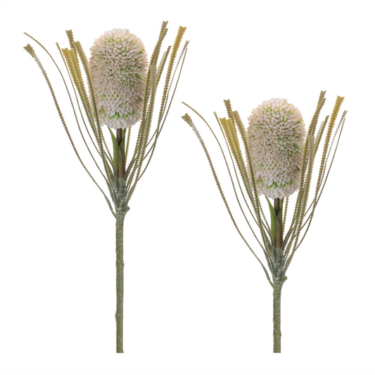 Protea Floral Stem (Set of 2) -Ship Only
