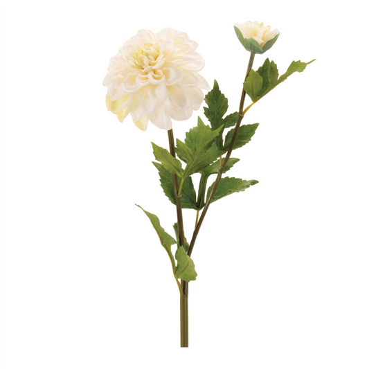 Dahlia Flower Stem (Set of 6) -Ship Only