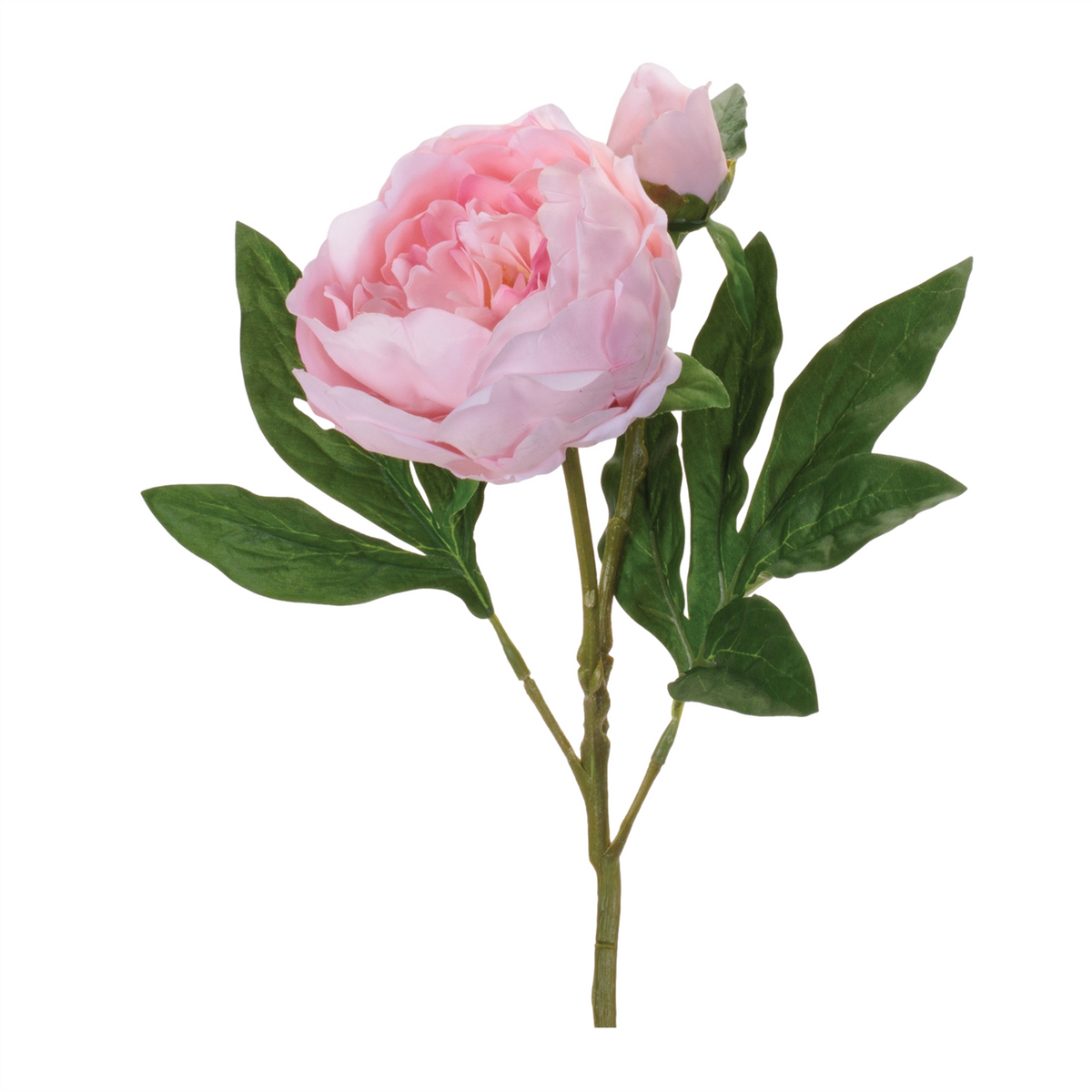 Peony Floral Spray (Set of 6) -Ship Only