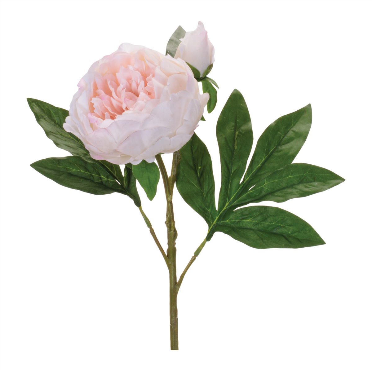 Peony Floral Spray (Set of 6) -Ship Only