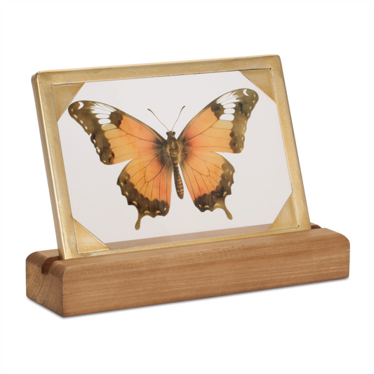 Butterfly Décor 9"L x 6"H Wood/Glass/Iron -Ship Only