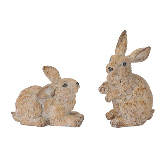 Rabbit (Set of 2) 6"H, 9.25"H Resin -Ship Only