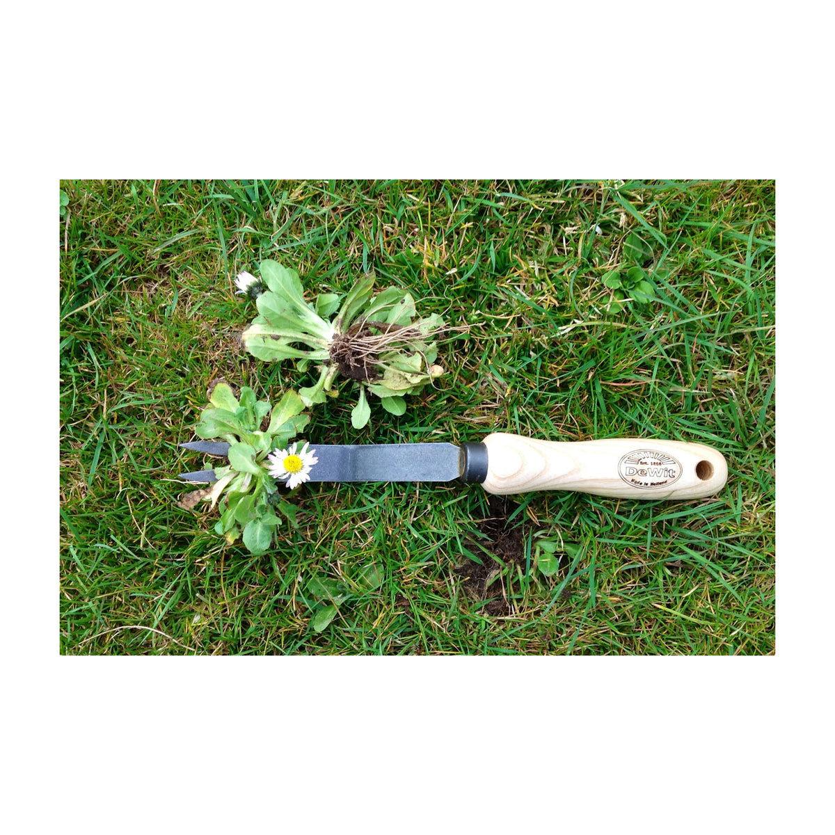DeWit Weeder - Bio Fork -Ship Only