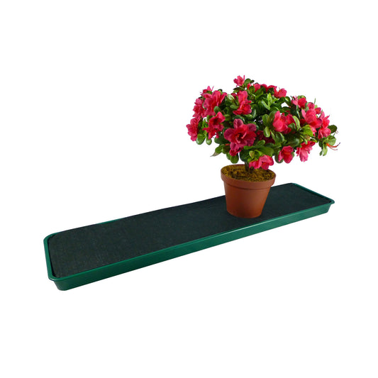 Green Windowsill Tray -Ship Only