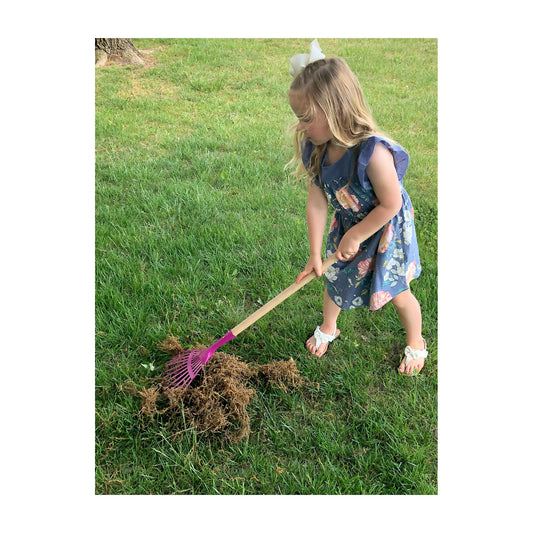 Kid's Leaf Rake -Ship Only