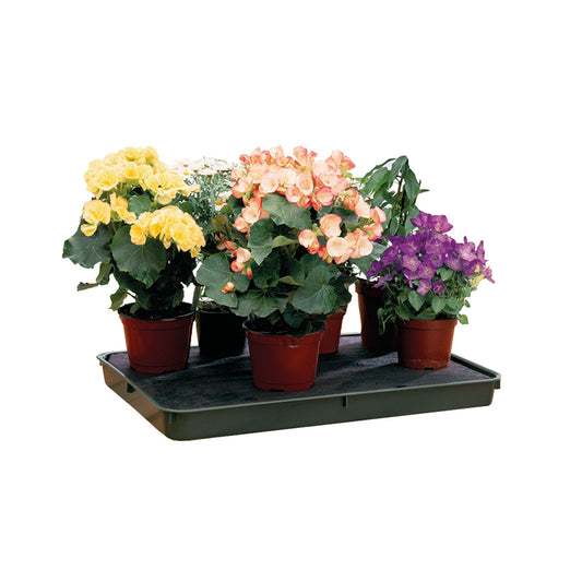 Large Green Self-Watering Tray -Ship Only